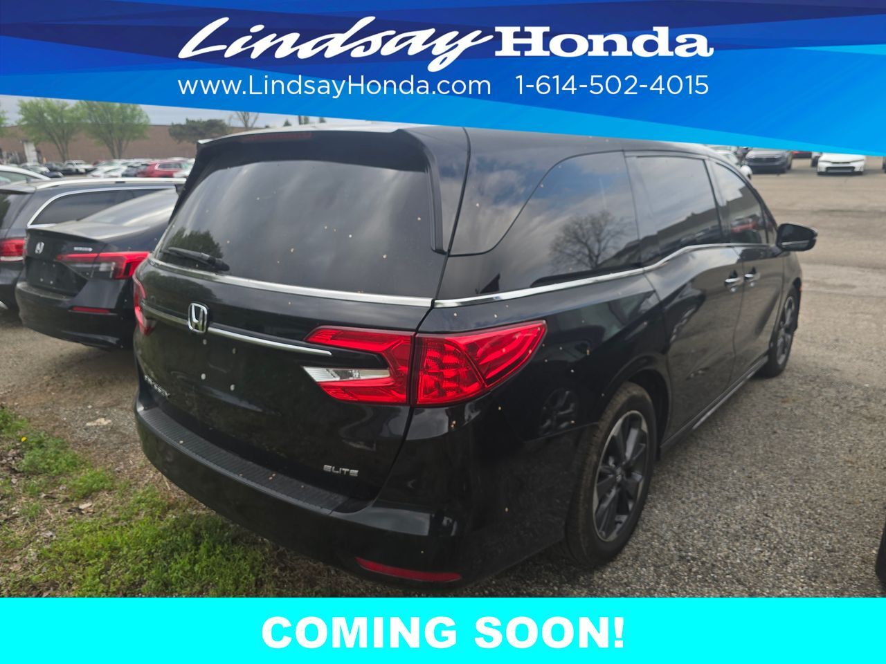 2022 Honda Odyssey Elite