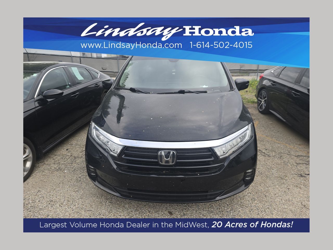 2022 Honda Odyssey Elite
