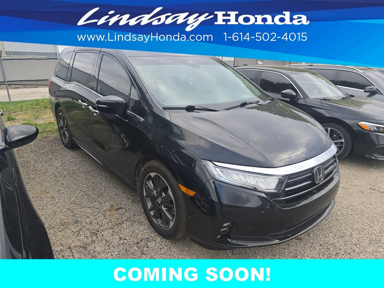 2022 Honda Odyssey Elite