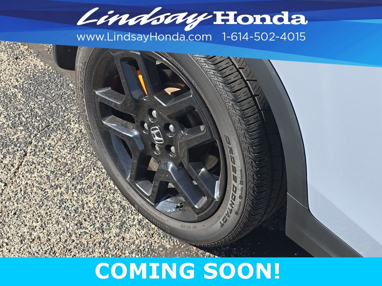 2022 Honda Passport Elite Columbus OH