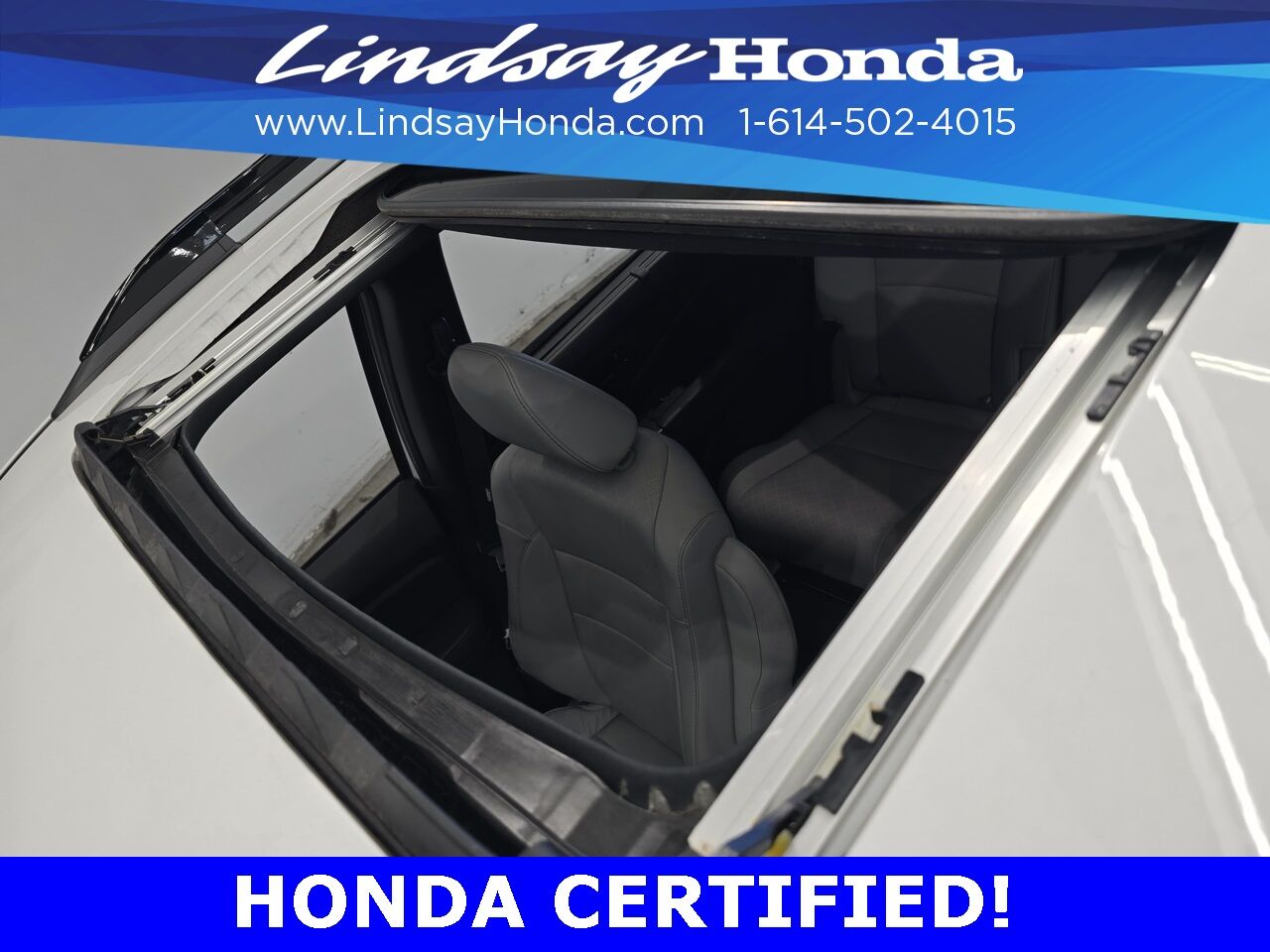 2022 Honda Passport Elite Columbus OH