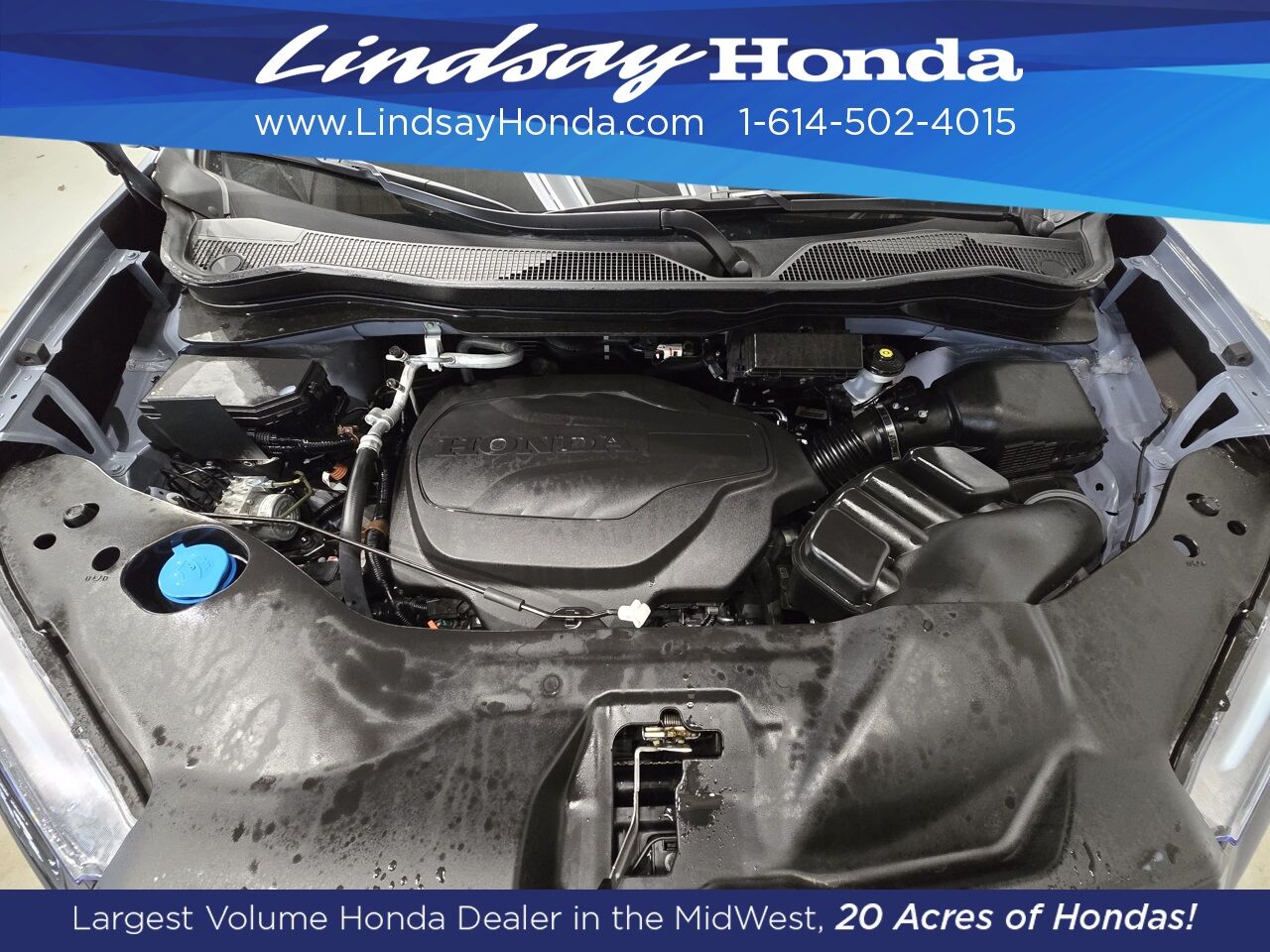 2022 Honda Passport Elite Columbus OH