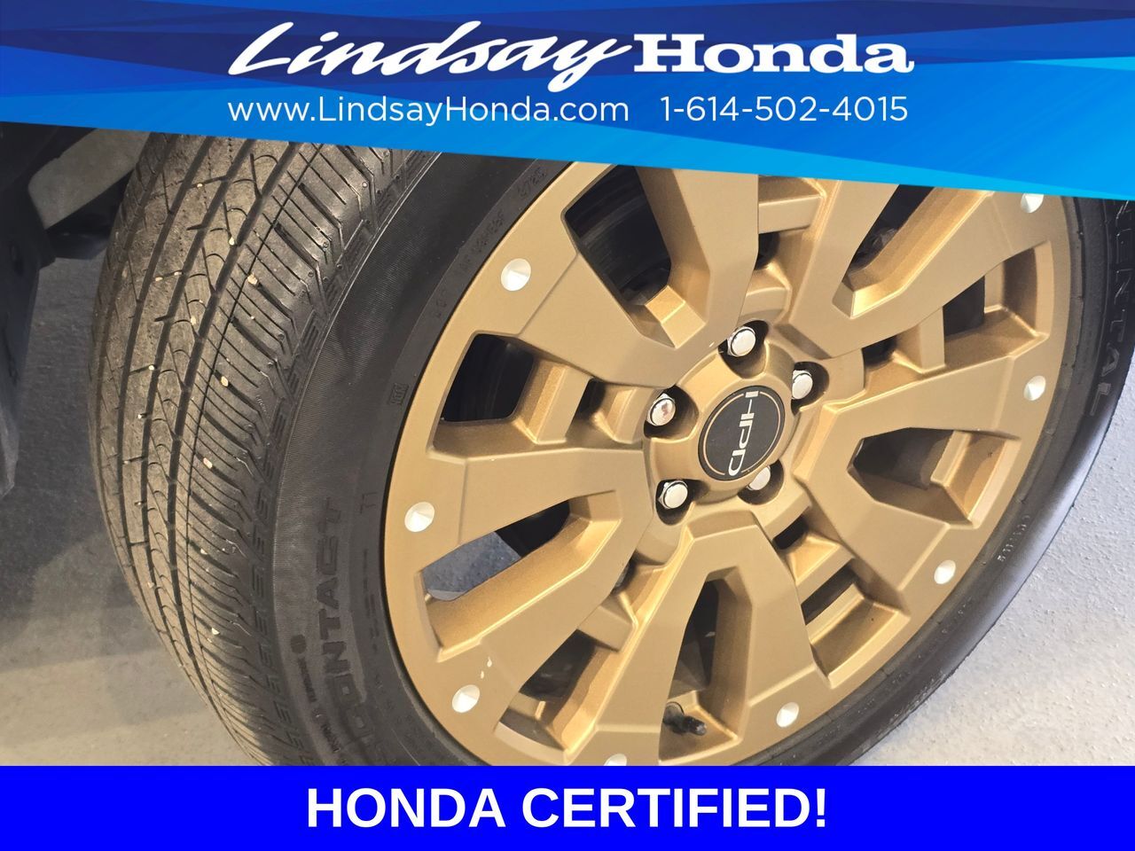 2022 Honda Passport Elite Columbus OH