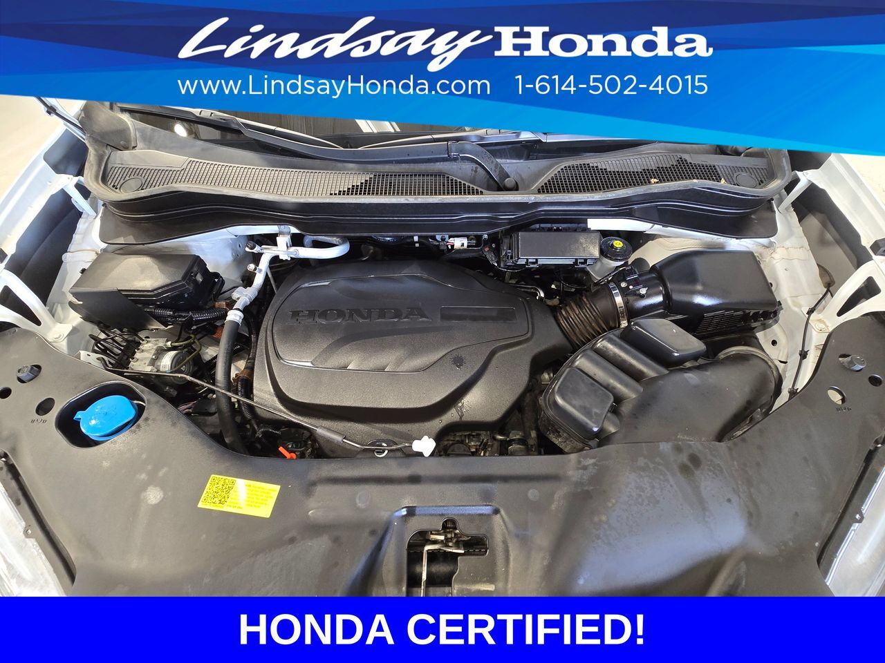 2022 Honda Passport Elite Columbus OH