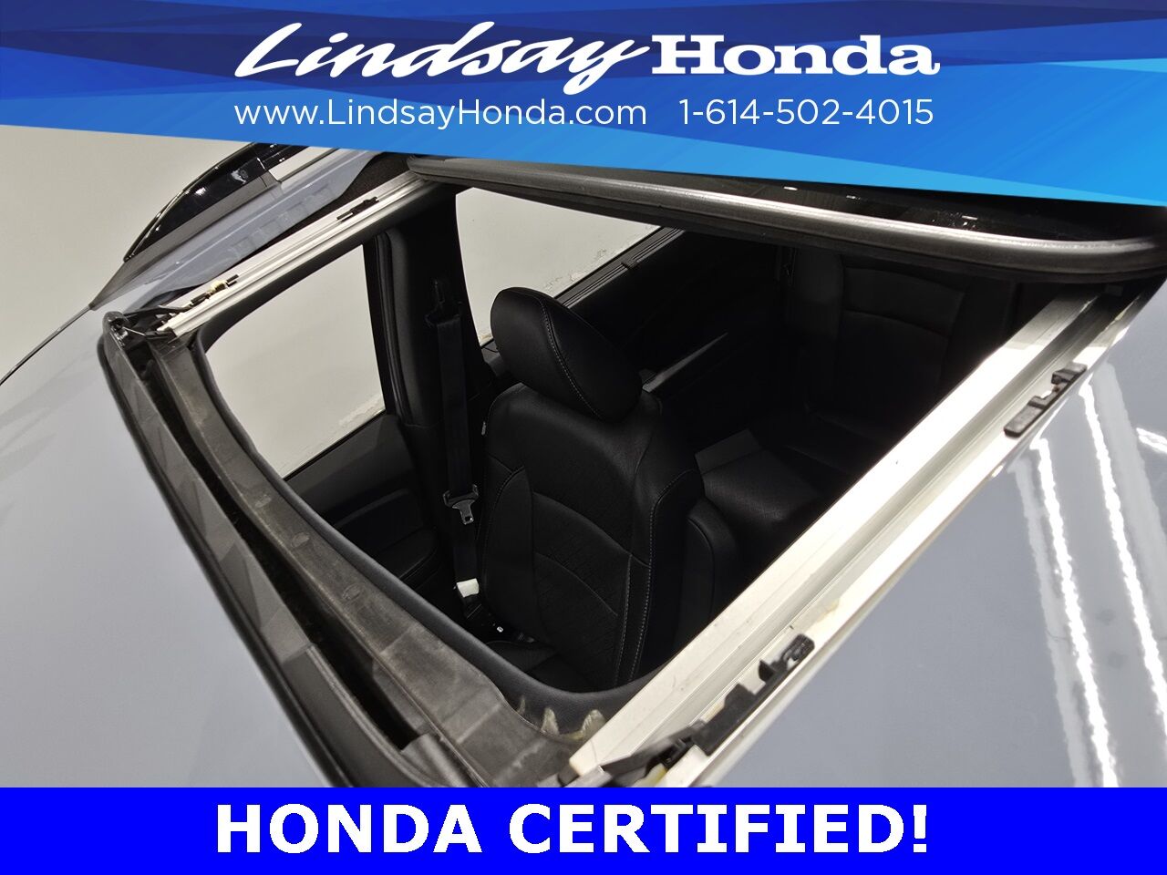 2022 Honda Passport Elite Columbus OH