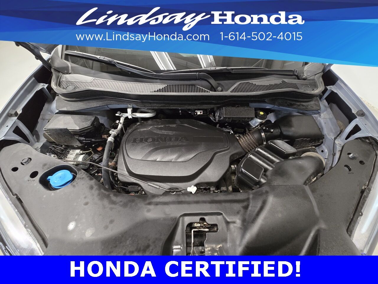 2022 Honda Passport Elite Columbus OH