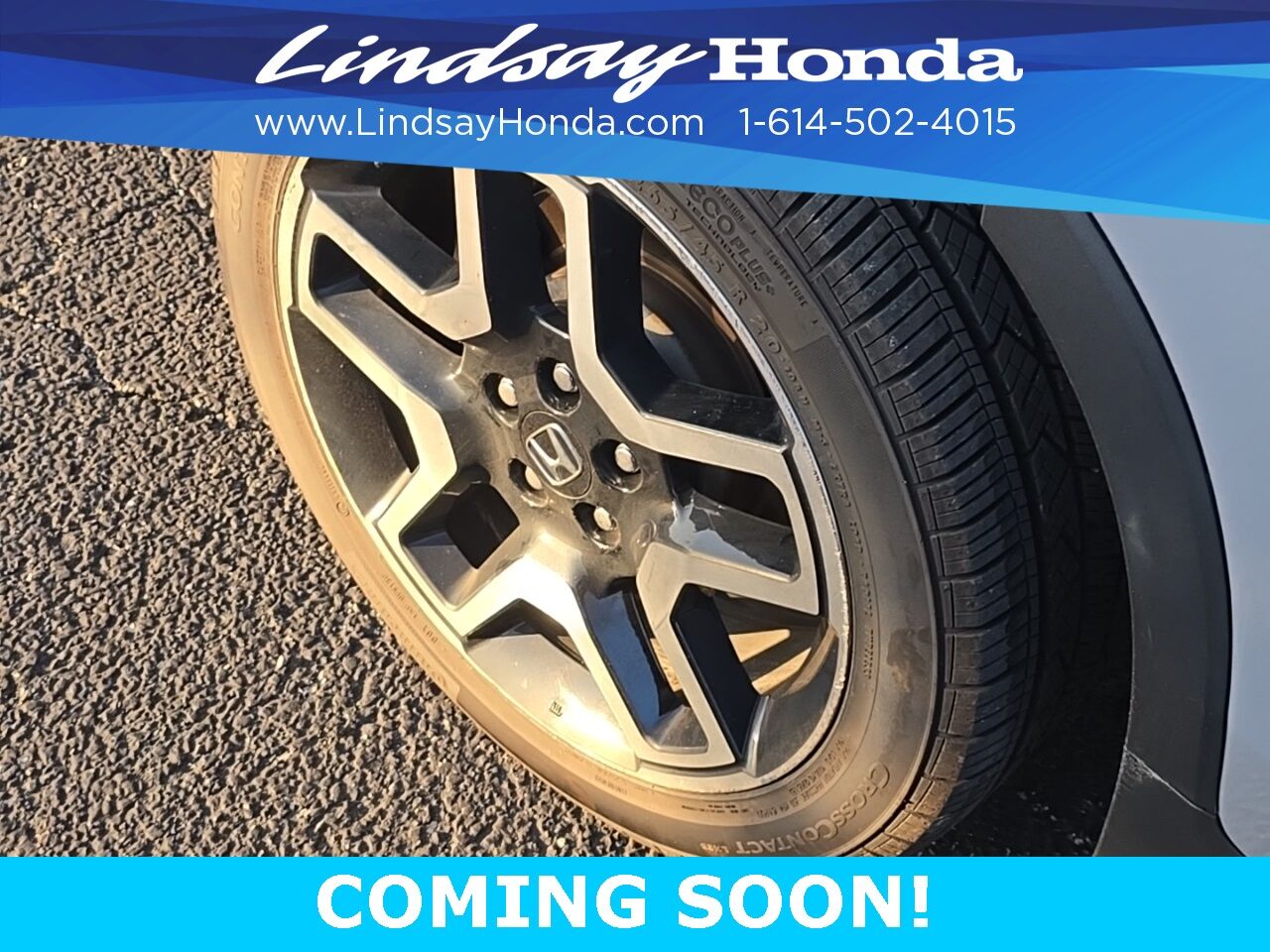2022 Honda Passport Elite Columbus OH