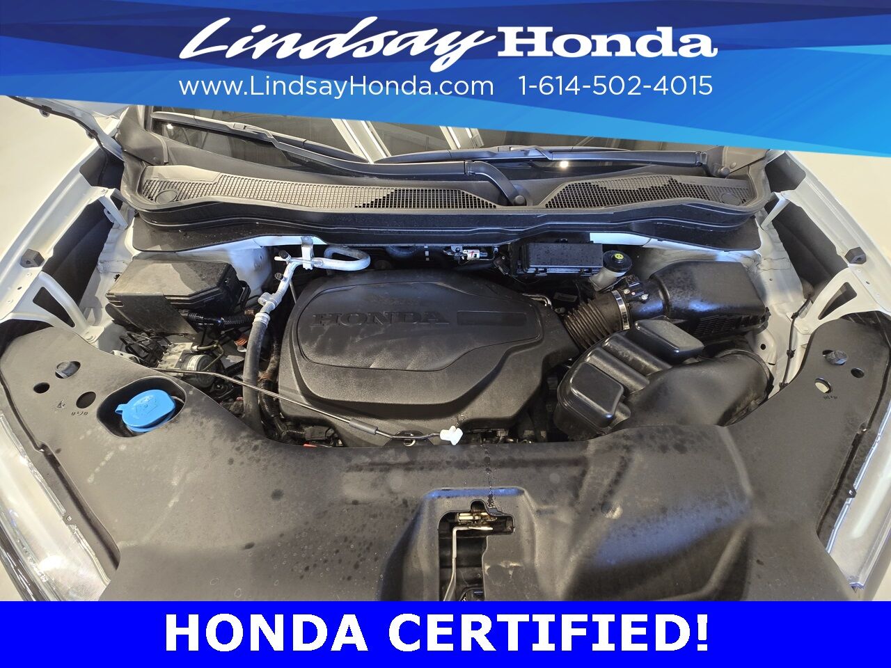 2022 Honda Passport TrailSport Columbus OH