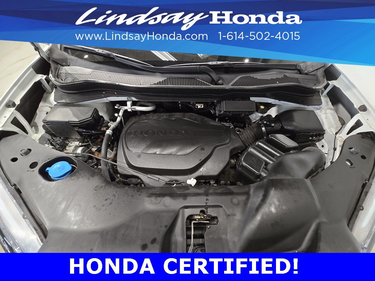 2022 Honda Passport TrailSport Columbus OH