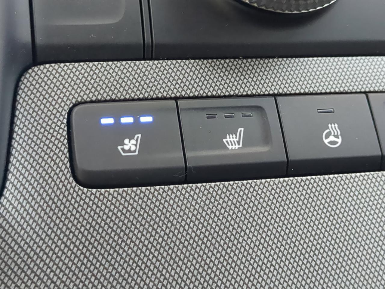 2022 Hyundai Palisade Calligraphy Winder GA