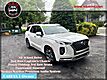 2022 Hyundai Palisade Ultimate Calligraphy AWD