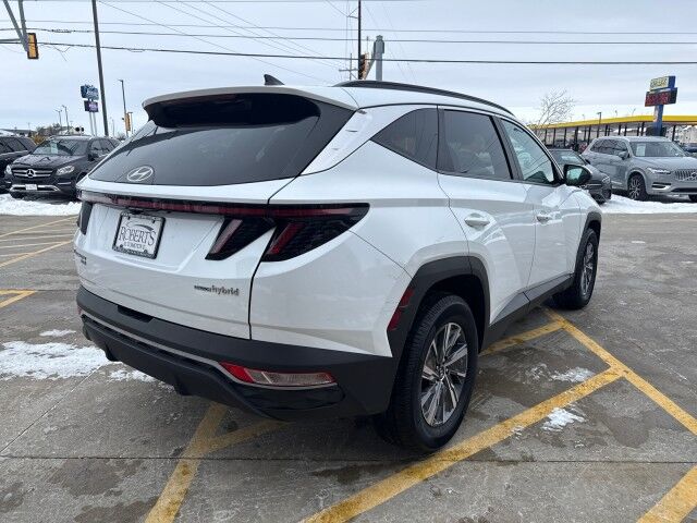 2022 Hyundai Tucson Hybrid Blue Springfield IL