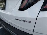 2022 Hyundai Tucson Hybrid SEL Convenience Oshkosh WI