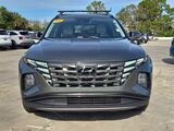 2022 Hyundai Tucson Limited Oshkosh WI
