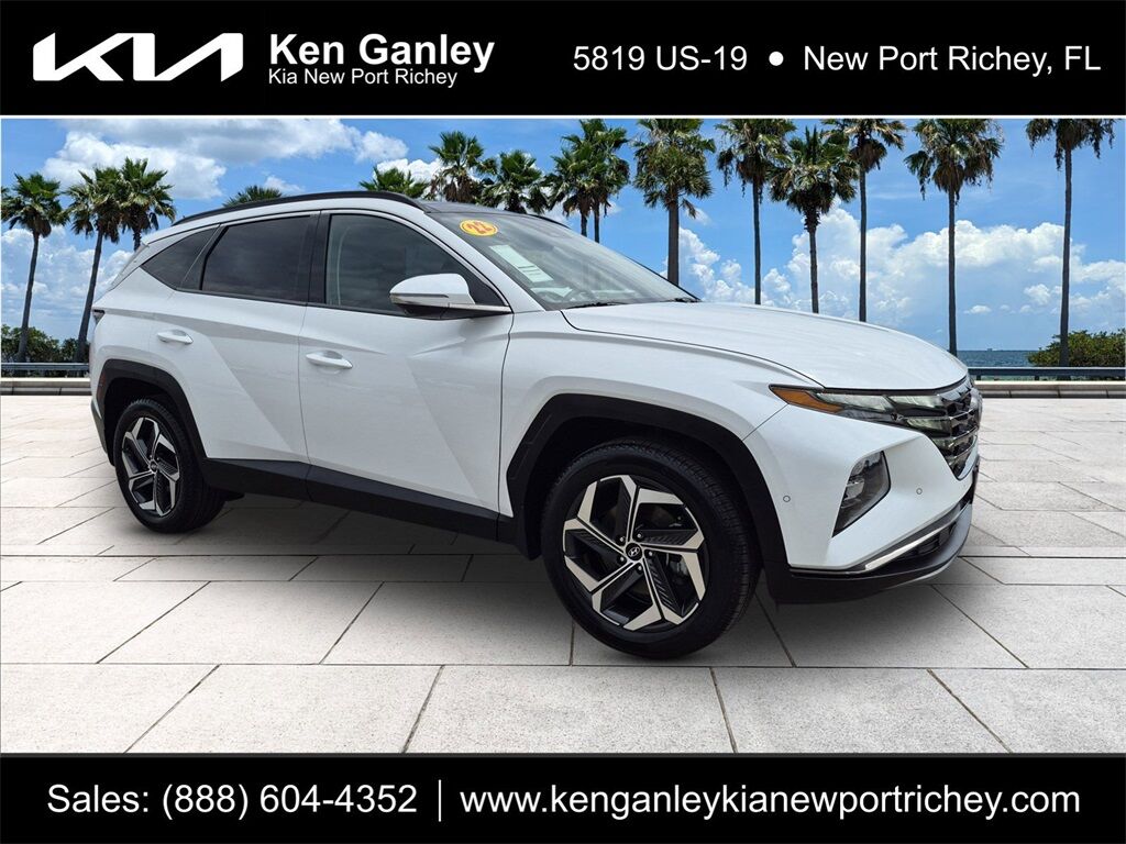 2022 Hyundai Tucson Limited Oshkosh WI