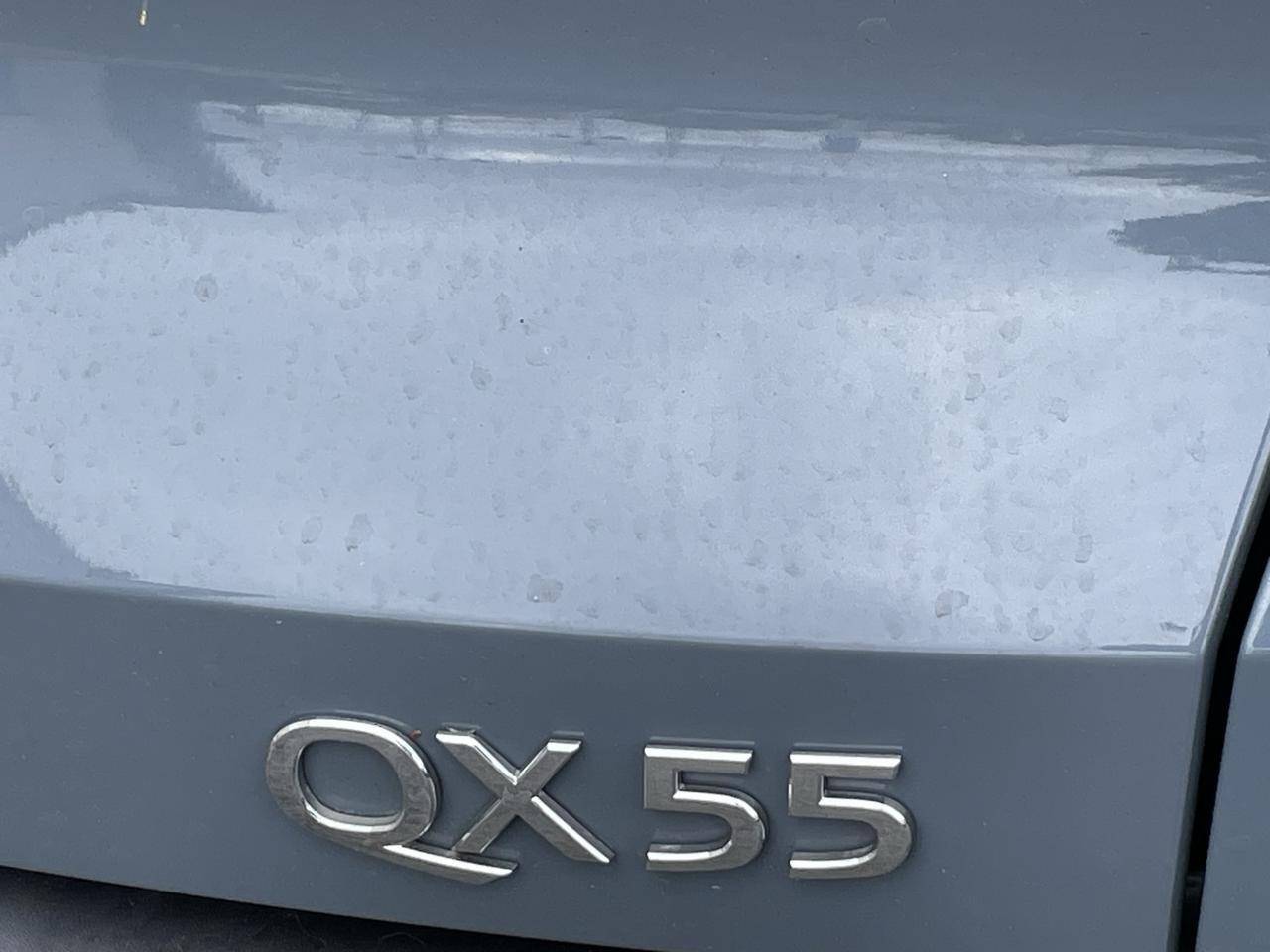 2022 INFINITI QX55 ESSENTIAL Alexandria VA