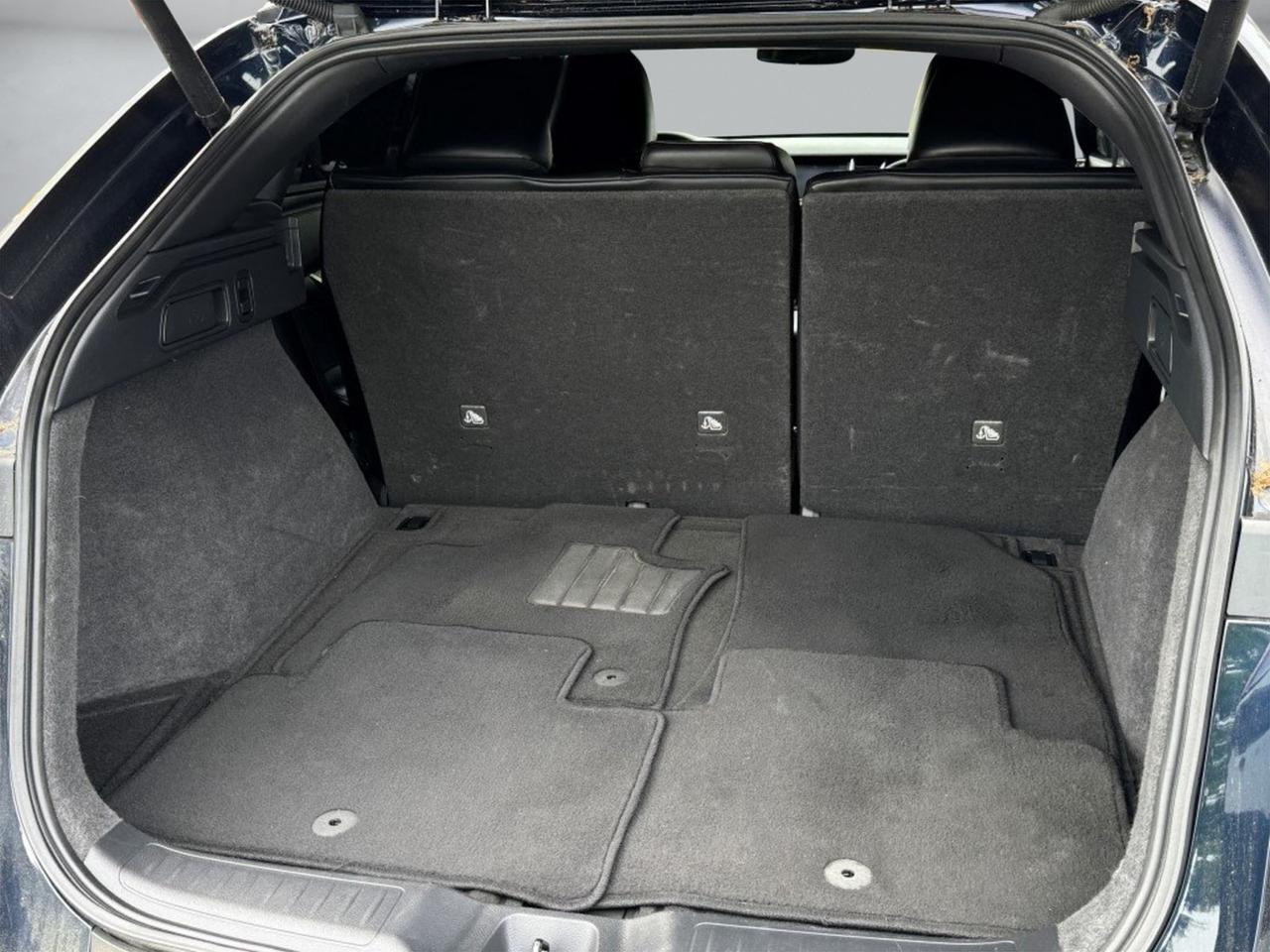 2022 INFINITI QX55 LUXE Chantilly VA