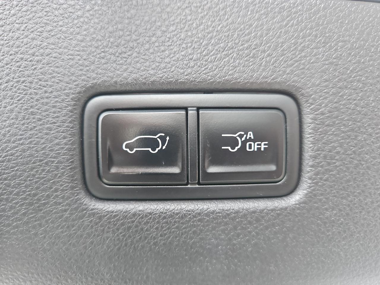 2022 Kia Carnival EX Grand Junction CO