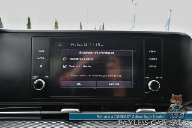 2022 Kia Carnival LXS / Auto Start / Power & Heated Leather Seats / Adaptive Cruise Control / Lane Departure & Blind Spot Alert / Apple CarPlay & Android Auto / Back Up Camera / 3rd Row / Seats 8 / Keyless Entry & Start / 1-Owner Anchorage AK