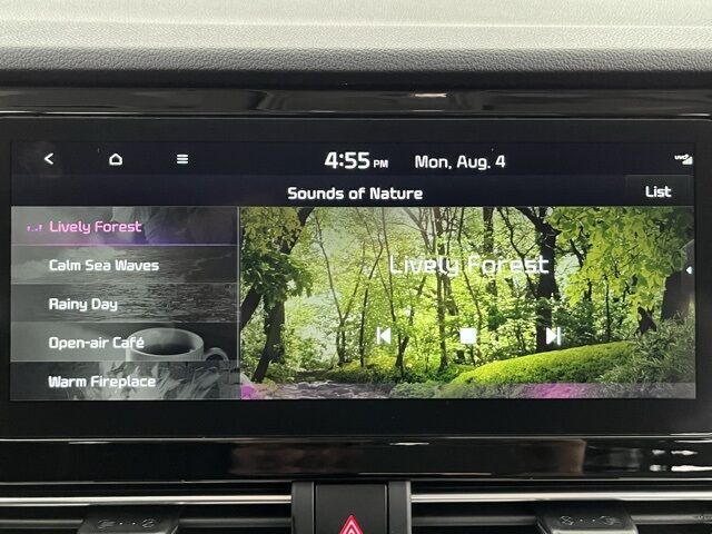 2022 Kia Niro EV EX Carrollton TX
