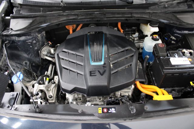 2022 Kia Niro EV EX Premium Chantilly VA