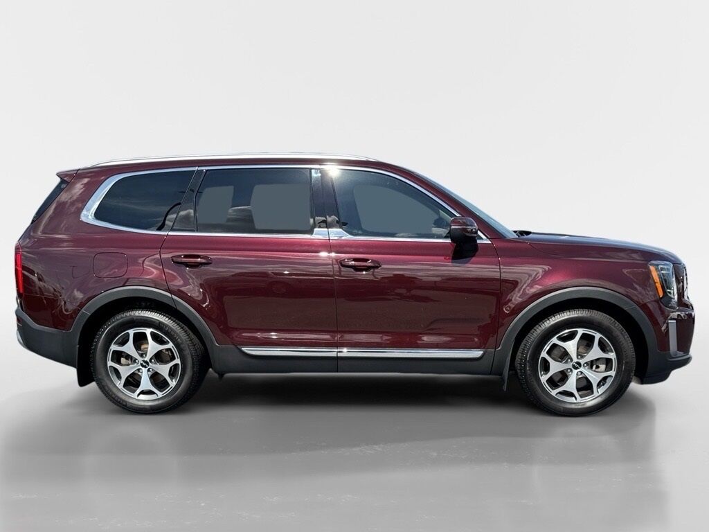 2022 Kia Telluride EX Morristown TN