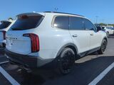 2022 Kia Telluride EX Oshkosh WI