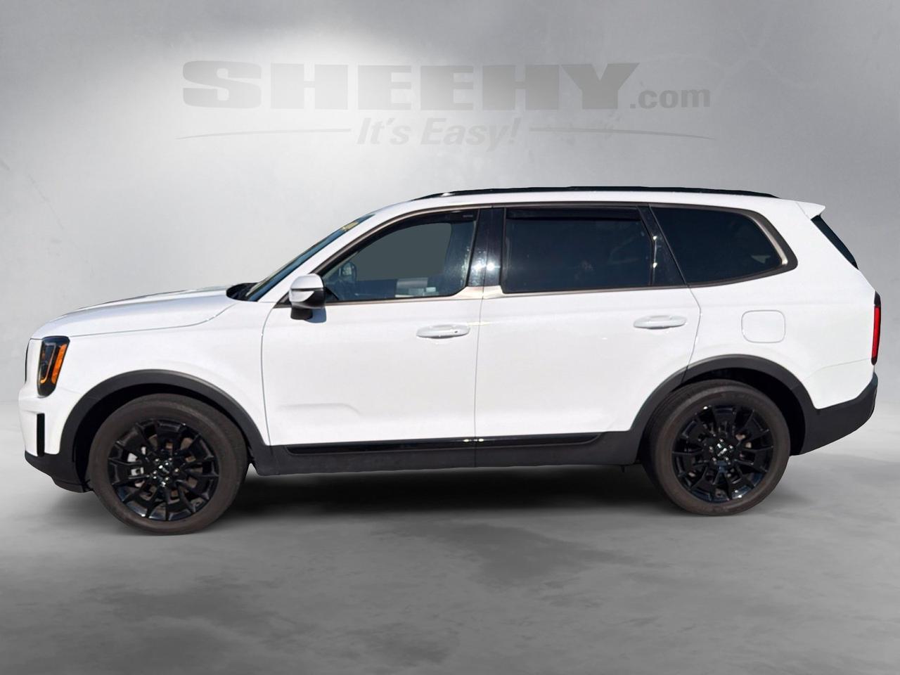 2022 Kia Telluride EX Ashland VA