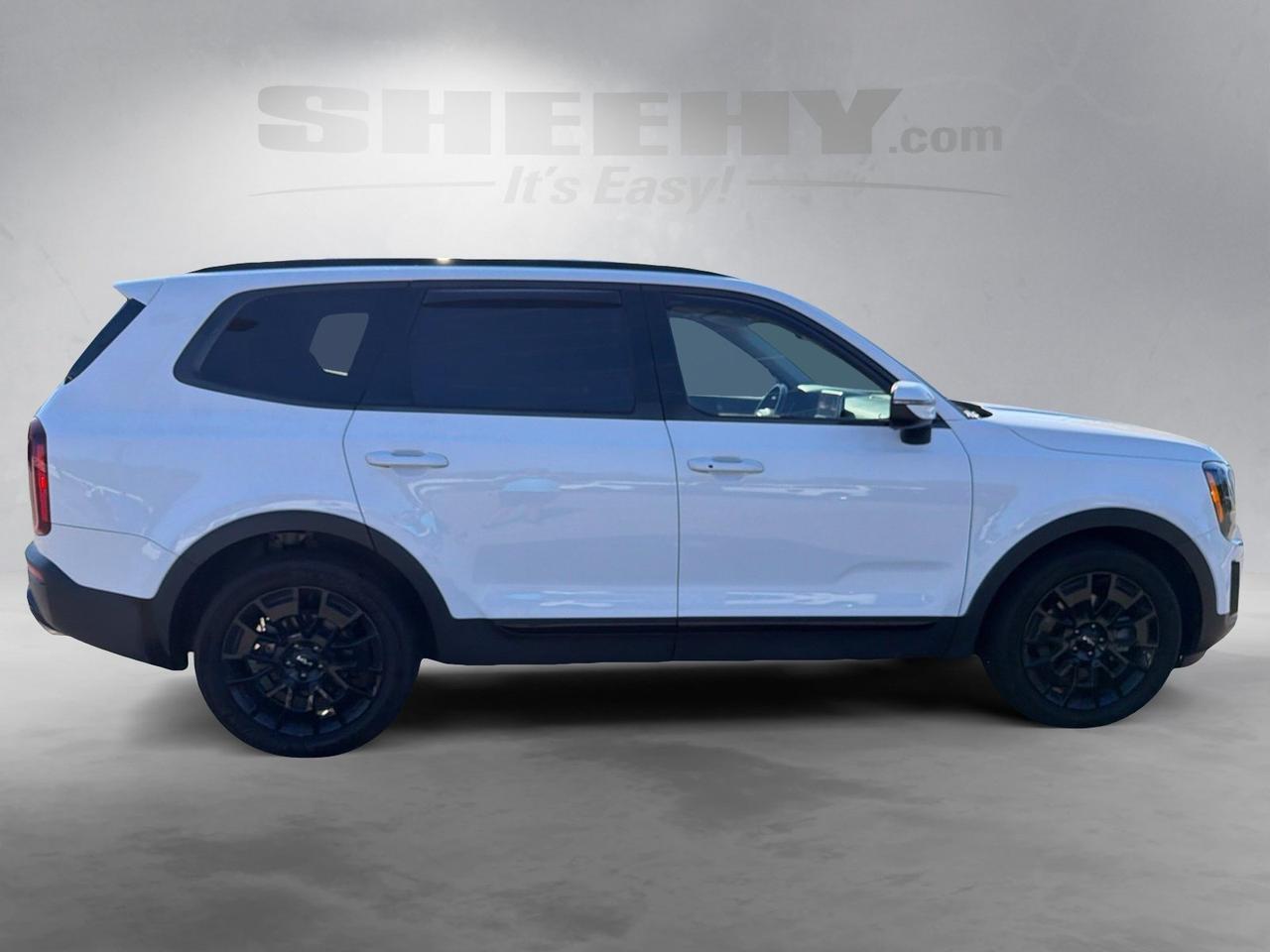 2022 Kia Telluride EX Ashland VA
