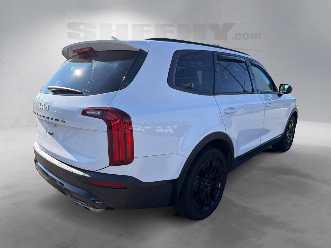 2022 Kia Telluride EX Ashland VA
