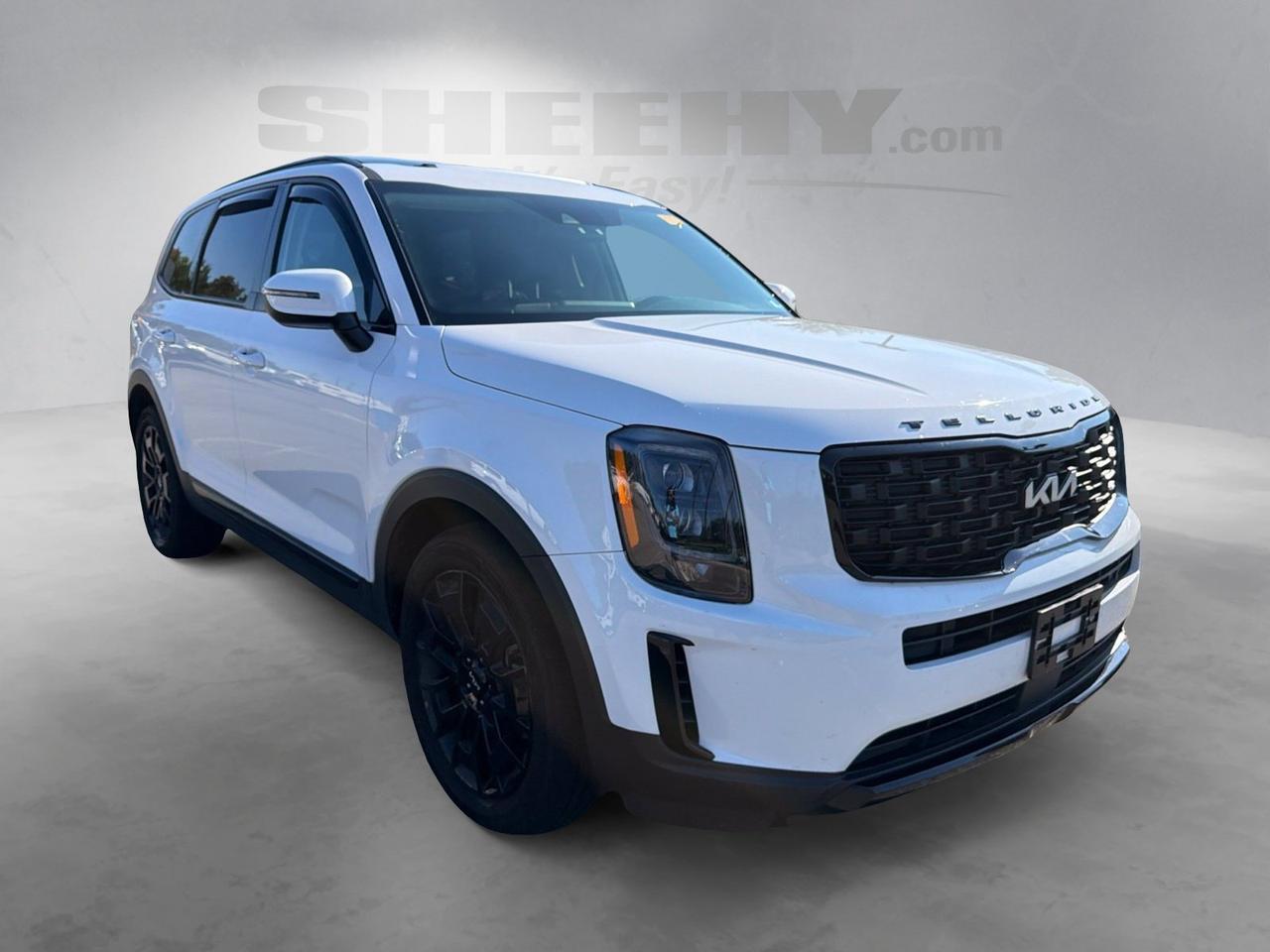 2022 Kia Telluride EX Ashland VA