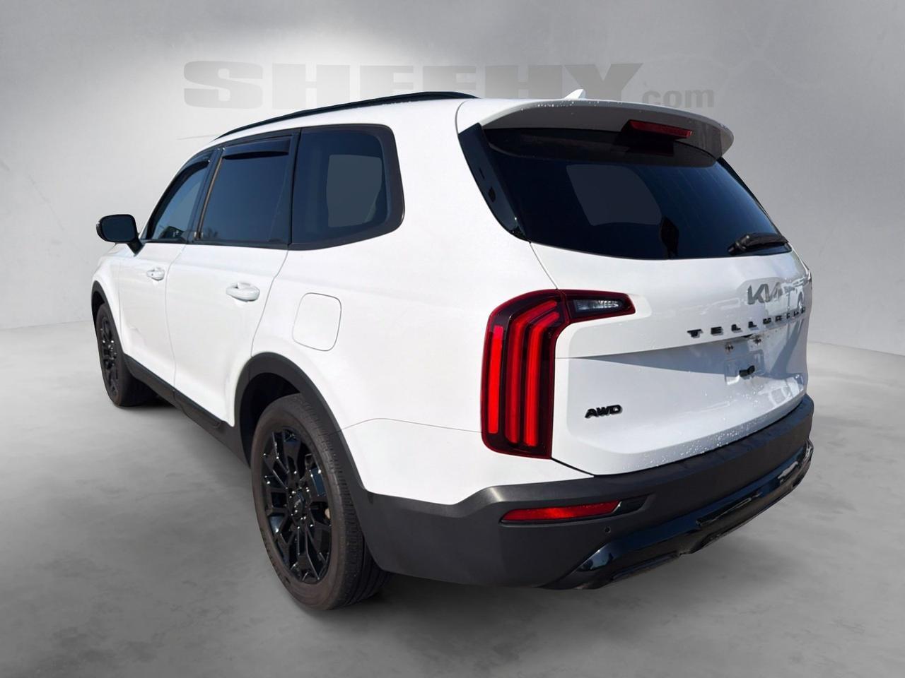 2022 Kia Telluride EX Ashland VA