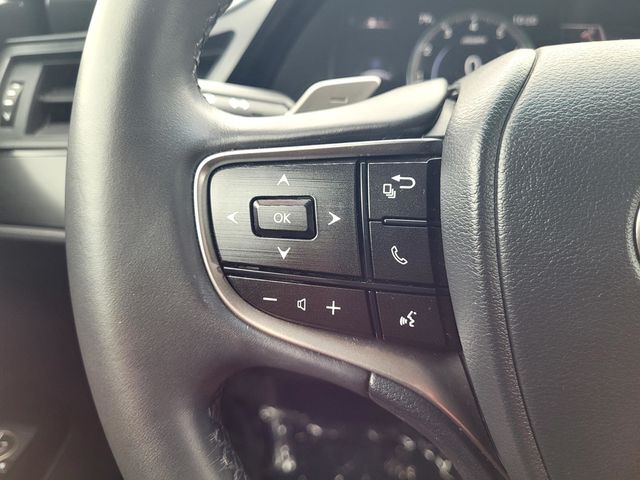 2022 Lexus ES 250 Roseville CA