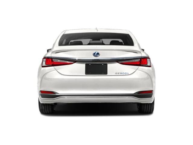2022 Lexus ES 300h F SPORT San Juan TX