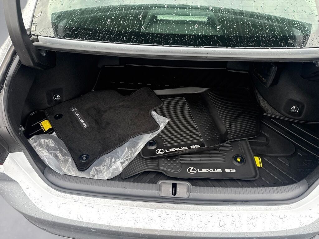 2022 Lexus ES 300h Richmond VA