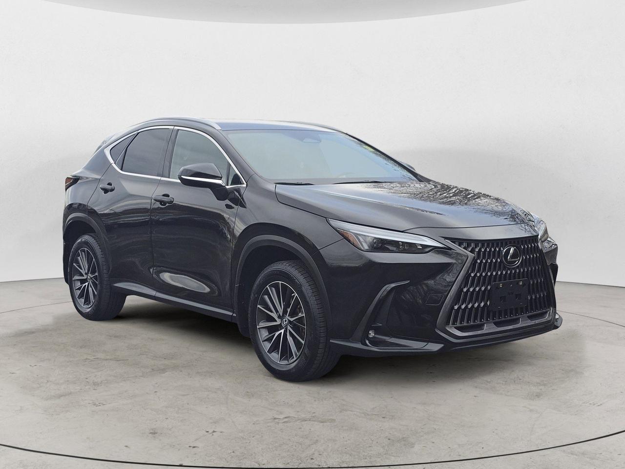2022 Lexus NX 250