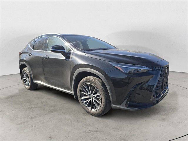 2022 Lexus NX 250