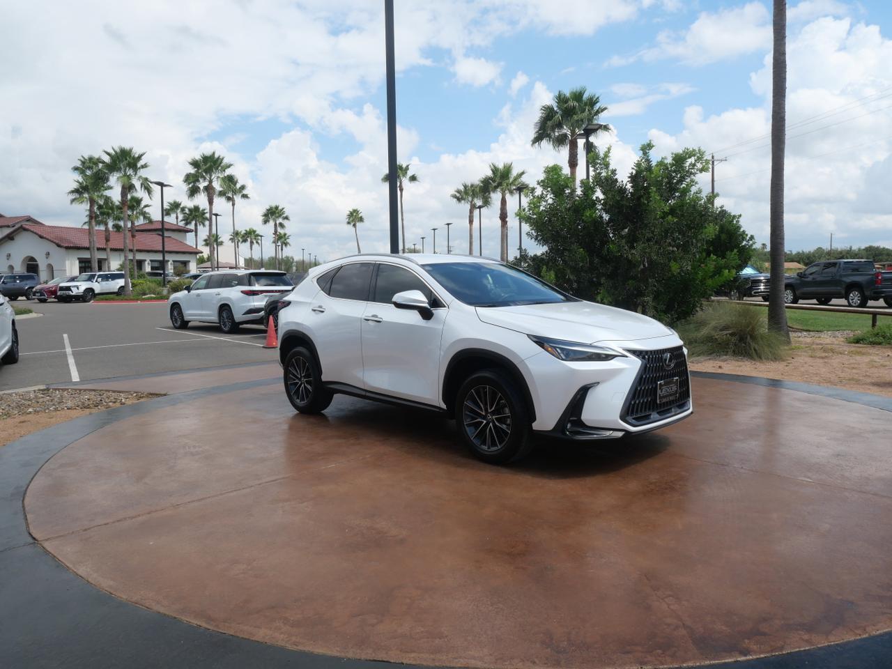 2022 Lexus NX 250 San Juan TX