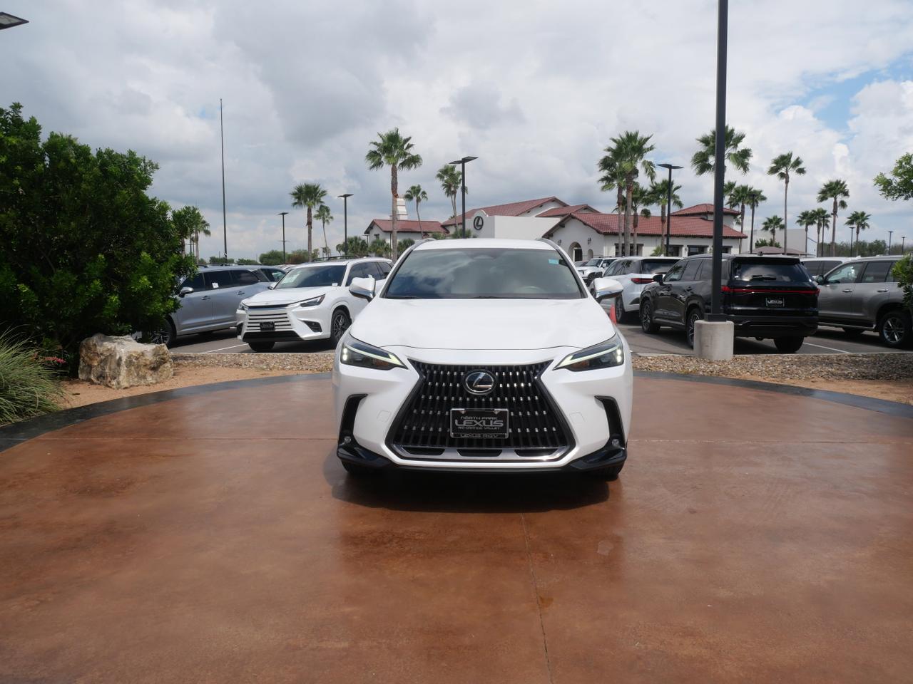 2022 Lexus NX 250 San Juan TX