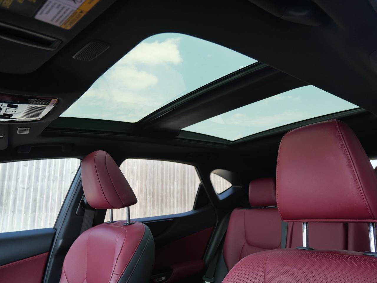 2022 Lexus NX 350 Luxury San Juan TX