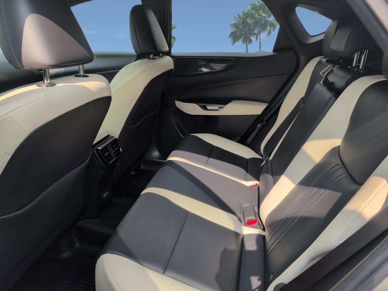 2022 Lexus NX 350 Premium San Juan TX