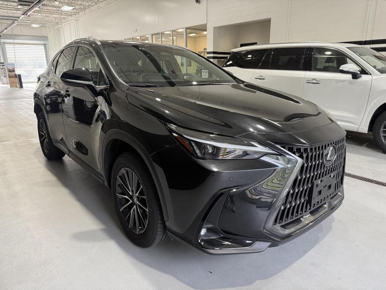 2022 Lexus NX 350 Premium