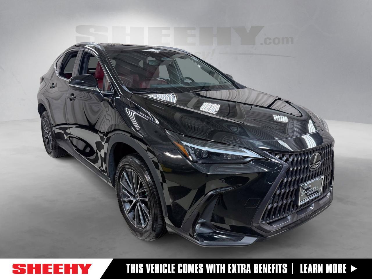 2022 Lexus NX