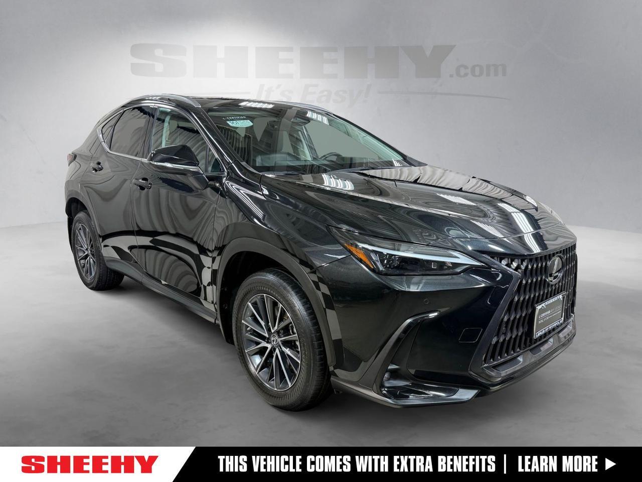 2022 Lexus NX