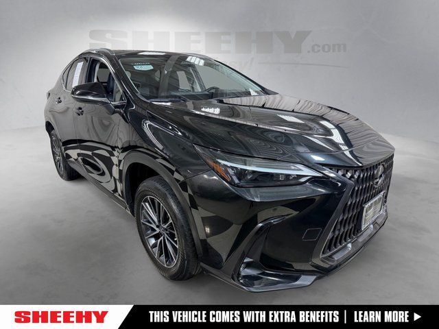 2022 Lexus NX