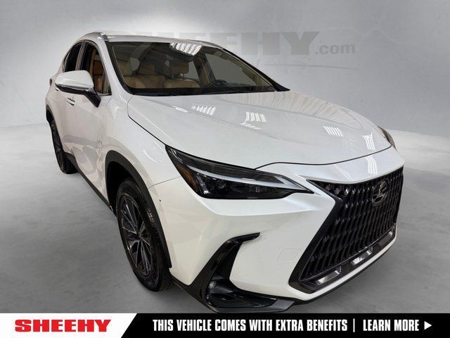 2022 Lexus NX