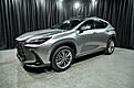 2022 Lexus NX 350h Luxury SUV