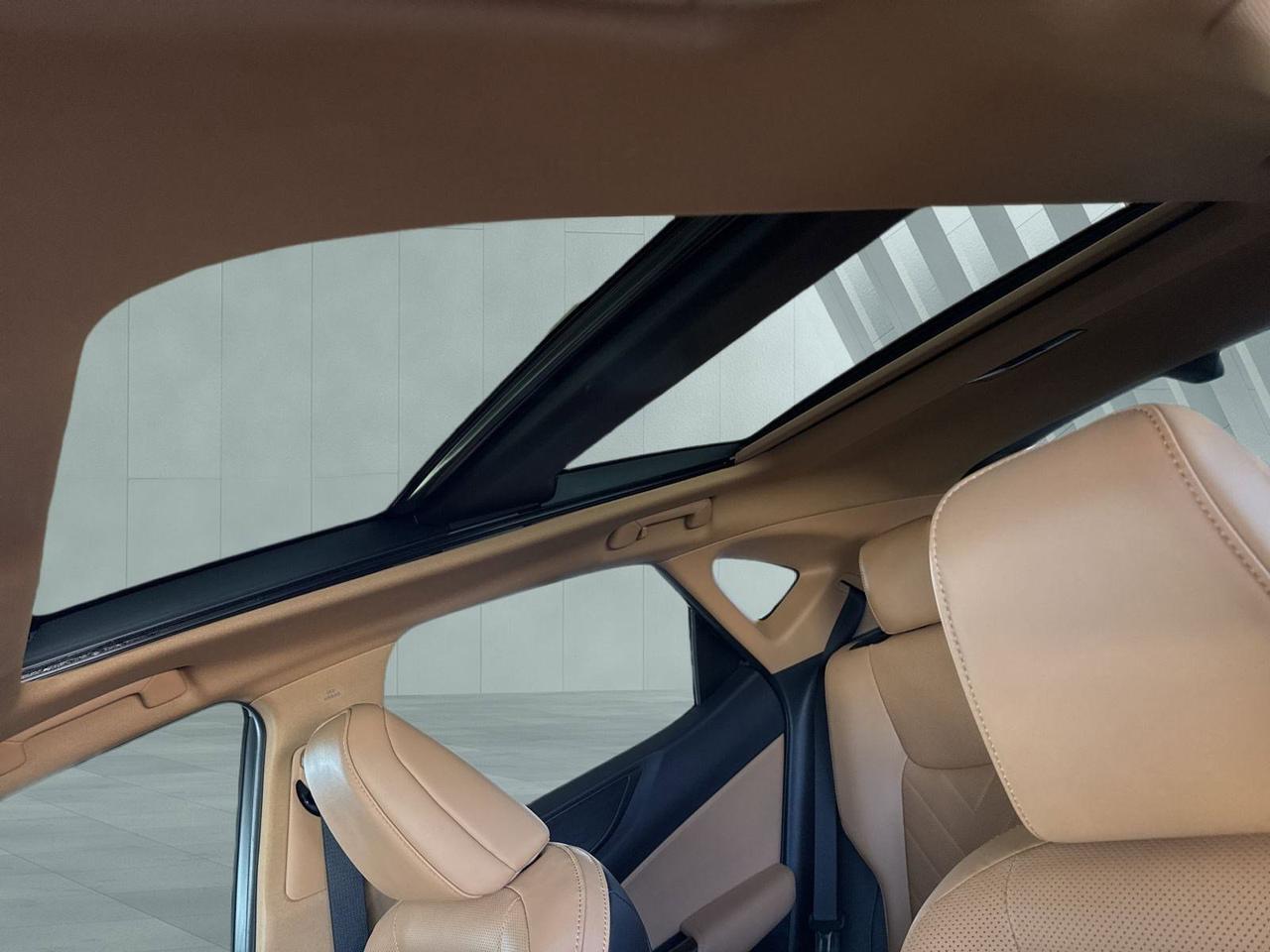 2022 Lexus NX 350h Luxury San Antonio TX
