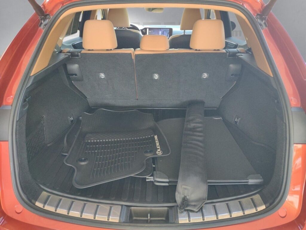 2022 Lexus NX 350h Luxury Richmond VA