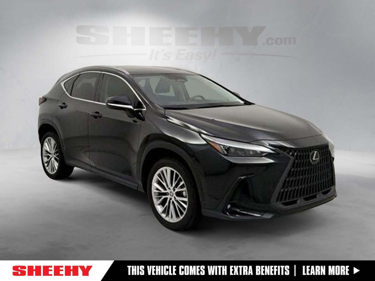 2022 Lexus NX